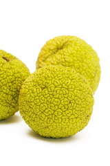 Osage Oranges (Maclura) isolated on white