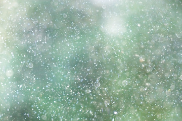 Raindrops on the glass