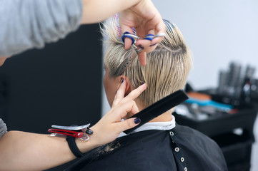 Naklejka premium Women's haircut. Hairdresser, beauty salon. Professional hairdresser making stylish haircut. Hairdresser cutting woman bangs hair Process of hair cutting with use scissors