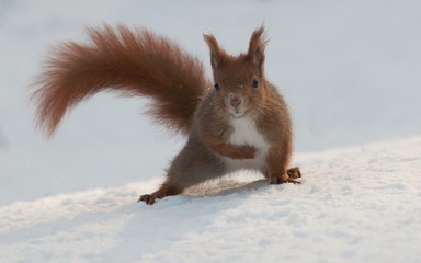 Na stoku. © Tomasz
