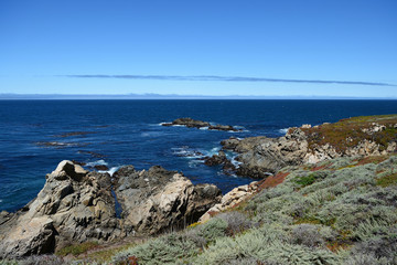Fototapeta na wymiar Pacific Coast along the California State Route One, California, USA