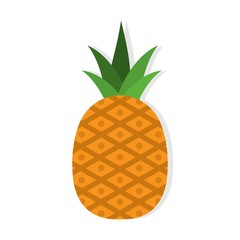 Pineapple design illustration  and background