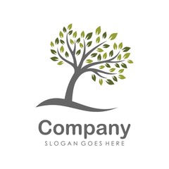 Tree and eco logo design template