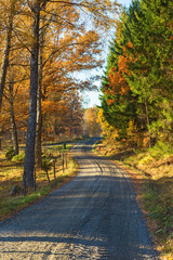 Fototapeta na wymiar Country road in autumn