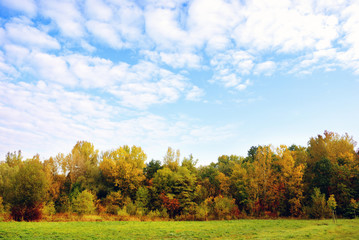 Autumn trees in landscape with cloudy sky 