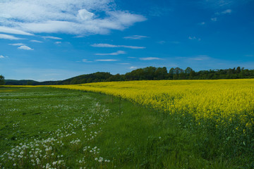 frühlingshafte Landschaft