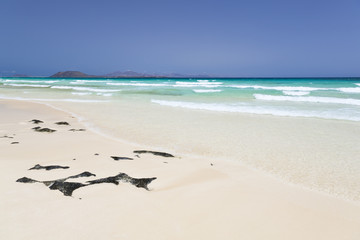 White Beach With Rocks, Fuerteventura