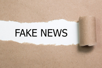 FAKE NEWS word written under torn paper.