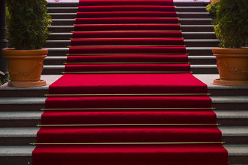 Red carpet on marble stairway welcoming VIPs.