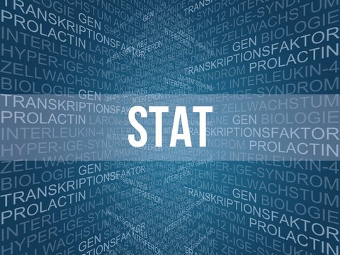 Die 3 Besten Bilder Stock Fotos Und Vektorgrafiken Zu Jak Stat Signalweg Adobe Stock