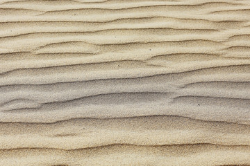 texture desert land sand dunes barkhans, deserts
