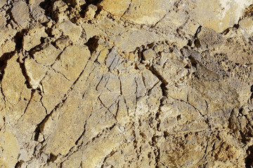 texture of old stone