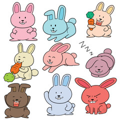 vector set of rabbits