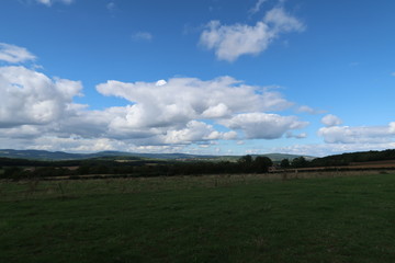 View on a French field