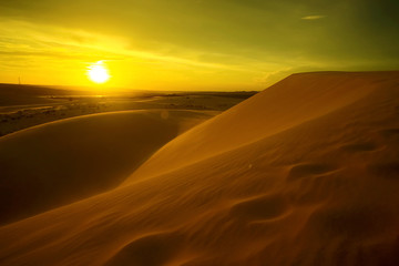 Plakat Desert at sunset in the evening