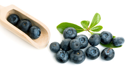 Blueberry. Two fresh blueberries with leaves isolated on white background. With clipping path.