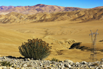 Fototapeta na wymiar desert landscape of nature