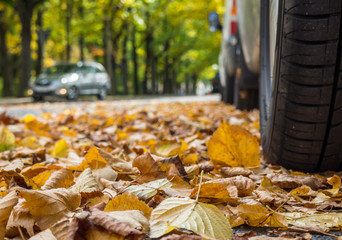 Straße im Herbst