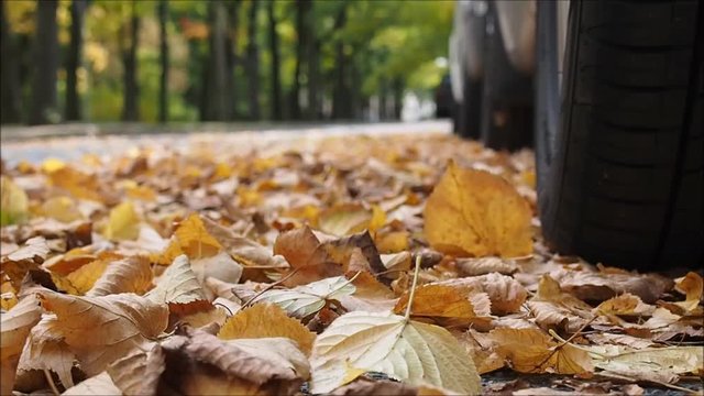 Stra&szlig;enverkehr im Herbst