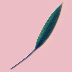 Creative minimal arrangement of leaf on pink background. Flat lay. minimal idea concept.