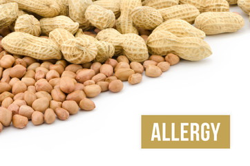Peanut or groundnut food allergy health concept, isolated on white background