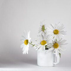 the Daisies in a white enamel mug on white paper background