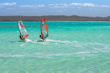 Windsurfers