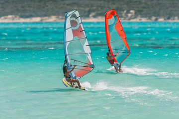 Windsurfers