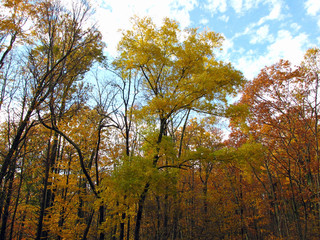 Blue Ridge Mountains of Virginia in Autumn