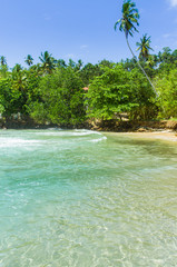 Tropical beach Mirissa in Sri