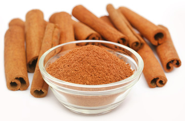 Bunch of some fresh aromatic cinnamon with powder spice