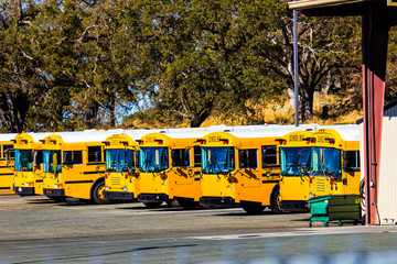 Plakat Row Of Yellow School Buses