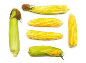 Corn with skin or without skin isolated on white background. A collection of corn. Flat lay, top view