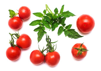 Tomatoes collection of whole and sliced with a branch of tomato leaf isolated on white background. Tasty and healthy food. Flat lay, top view