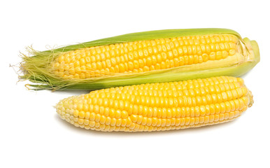 Two corn isolated on white background