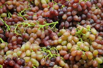 fresh ripe grape