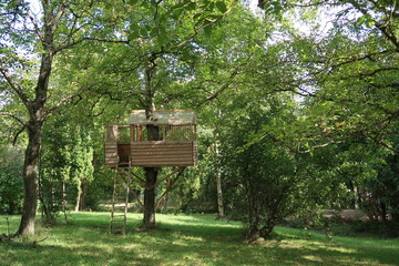 Tree hut