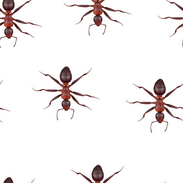seamless pattern with ants, 3d