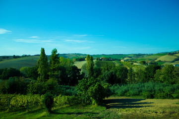 Fototapeta na wymiar Hills and fields in Montecchio (Marche, Italy)