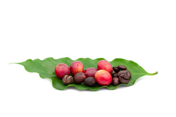 coffee grains and leaves