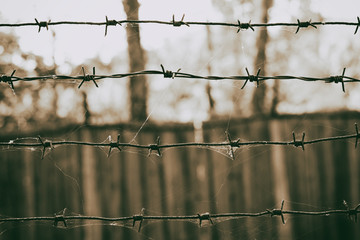 Barbed wire in a web on the background of a wooden fence, sepia photo