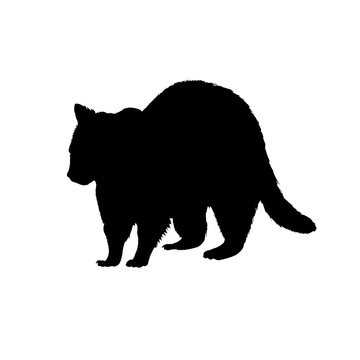Raccoon silhouette. Black white icon. Vector illustration.