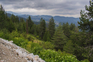 Obraz premium Near the road