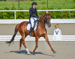 Young elegant rider woman and red horse, dressage test on equestrian competition. Advanced Dressage test. Horse with girl at dressage equestrian sports competitions. Details of equestrian equipment.