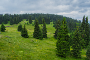 Fototapeta na wymiar The Snezhanka peak