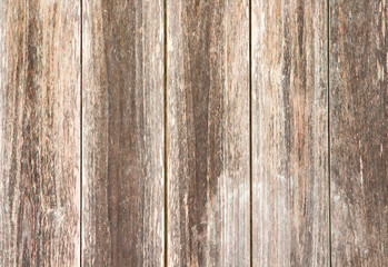 wood texture. background old panels