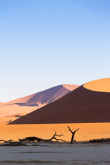 Sossusvlei, Namib desert, Namibia, Africa