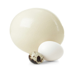 Ostrich, chicken and quail eggs on white background © Africa Studio