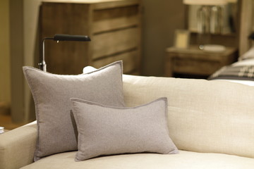 Couch with pillows