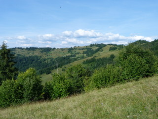 Fototapeta na wymiar Ukrainian Carpathian Mountains. Marmarosh Range.